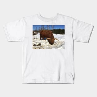 Scottish Highland Cattle Bull 1737 Kids T-Shirt